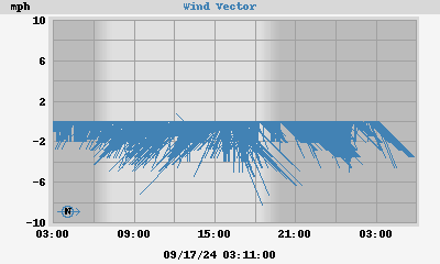 Wind Vector